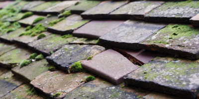 Alrewas roof repair costs